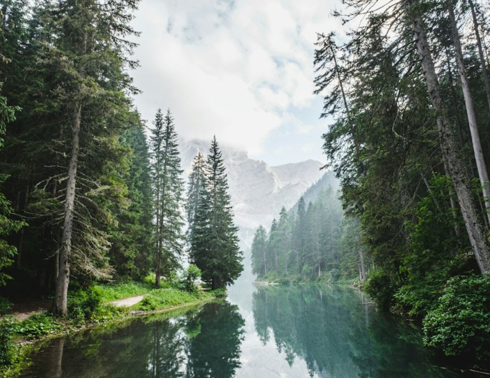 A still green lake between pine trees